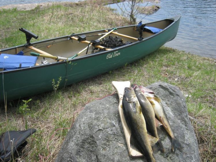 FIshing for walleye