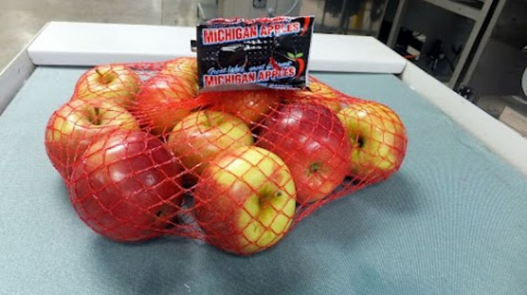 Fall is here and that means it is apple season in Michigan! Photo credit: Alex Arends | MSU Extension