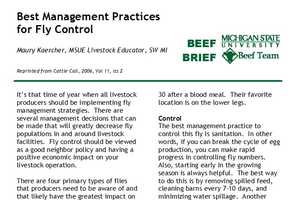 Best Management Practices for Fly Control - Beef