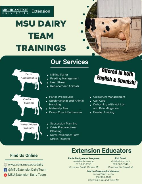 for display and decoration only