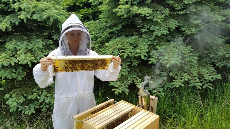 Person looking at beehive.