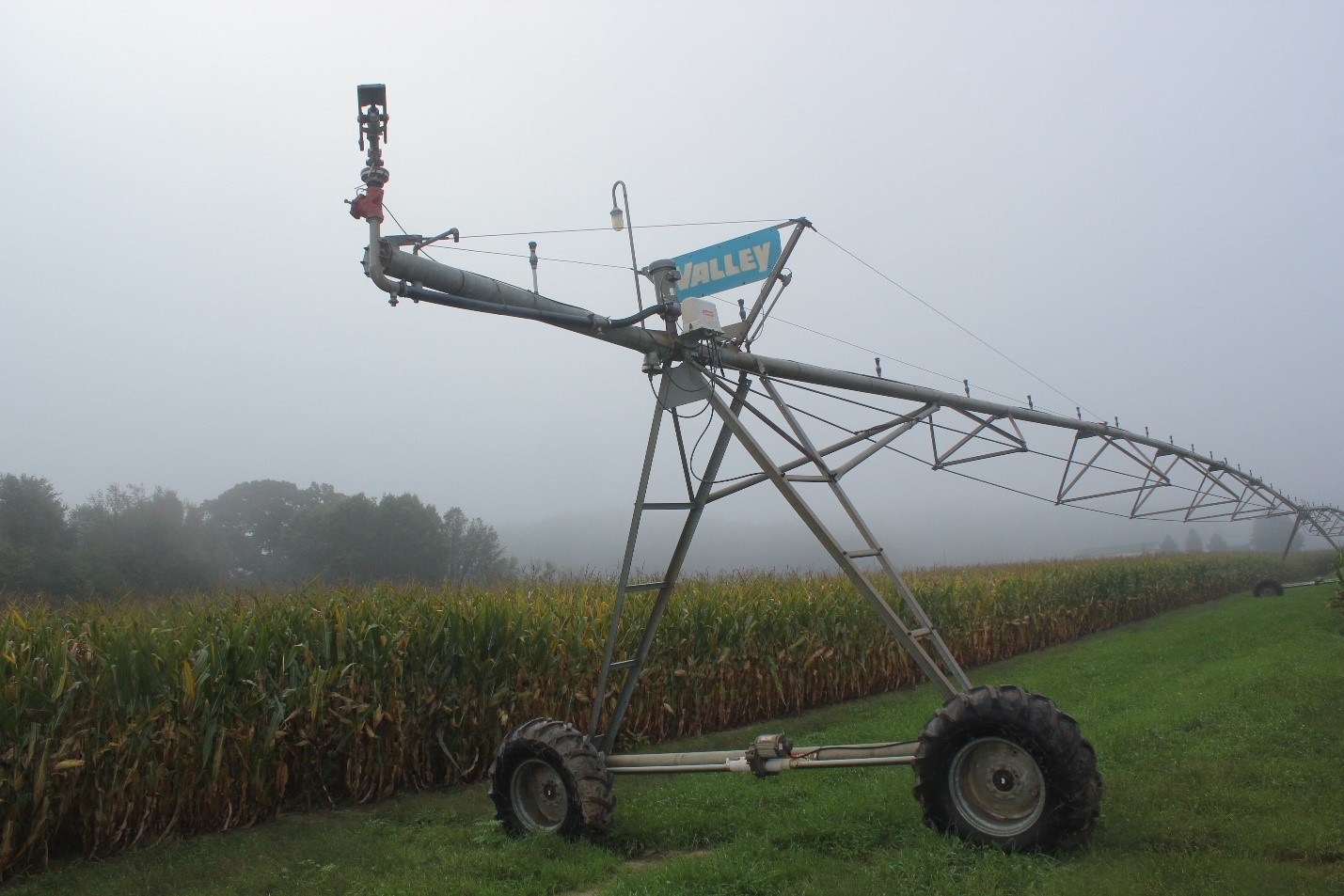 Irrigator next to corn field