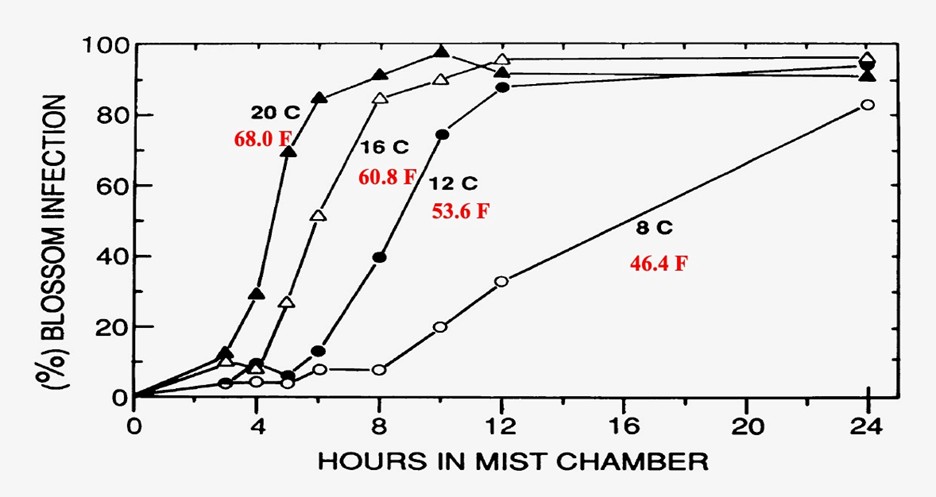 Line graph showing percent blossom infection over hours in a mist chamber at different temperatures (8&deg;C to 20&deg;C), illustrating faster and higher infection rates at warmer temperatures.&nbsp;