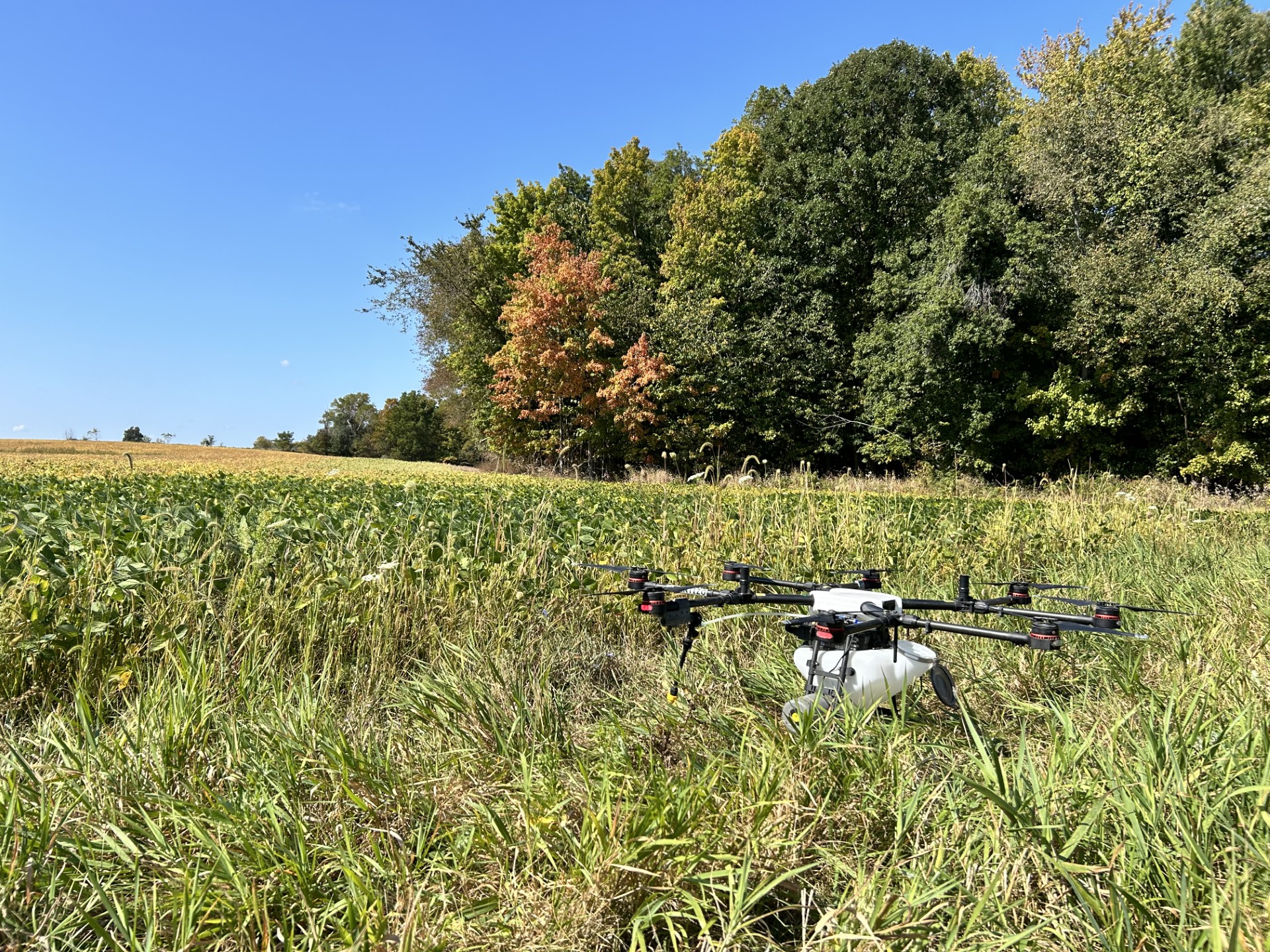 A drone rested in a grassy patch next to a field growing crops