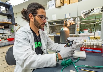 Fellow working in a laboratory setting