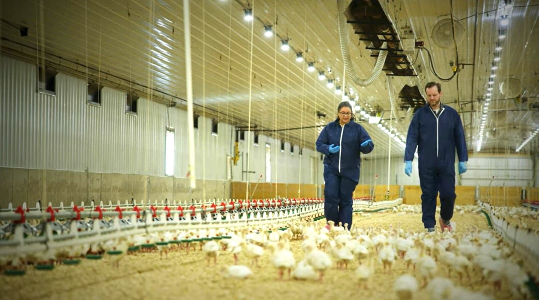 FarmStress2.jpg