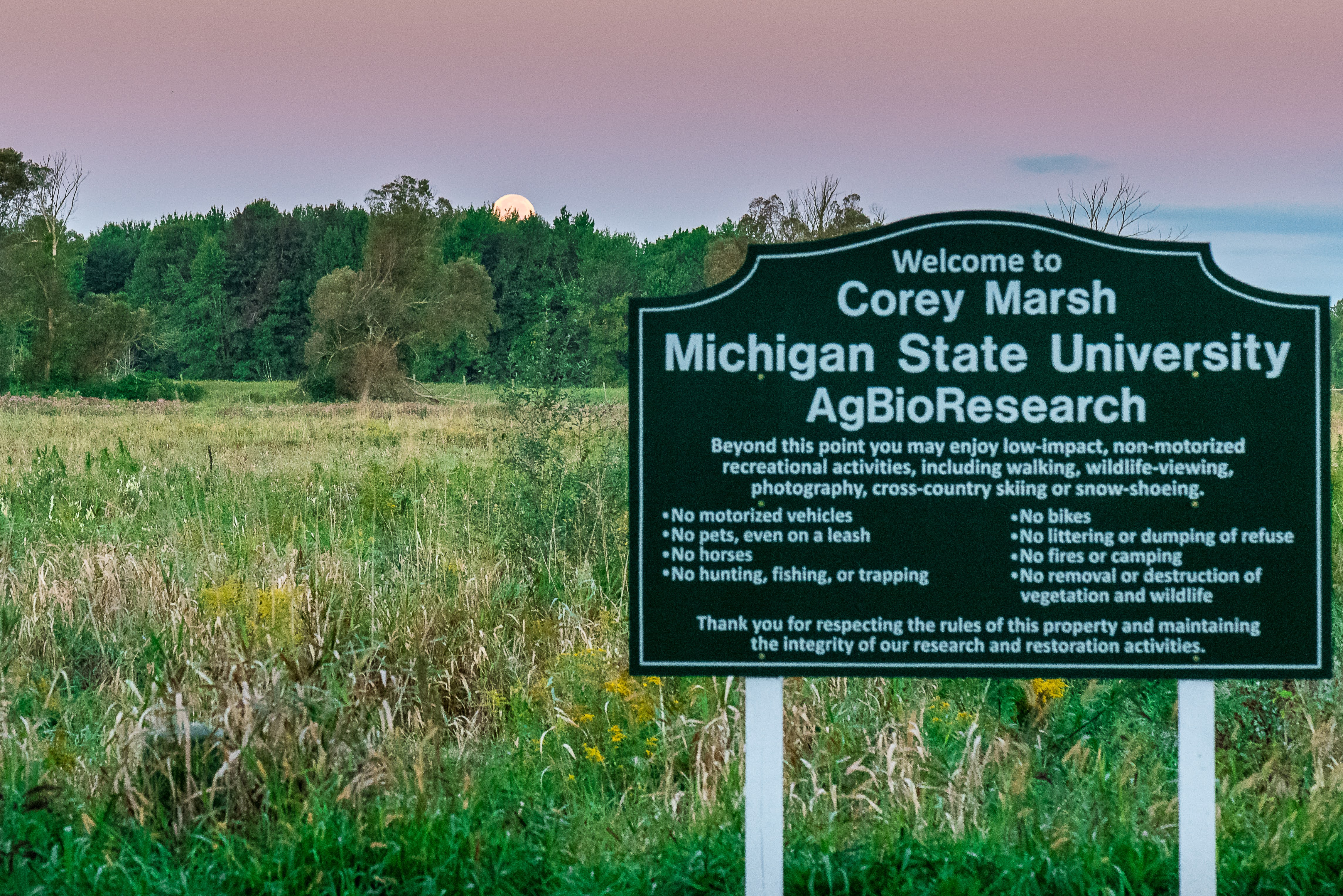 Corey Marsh sign.jpg