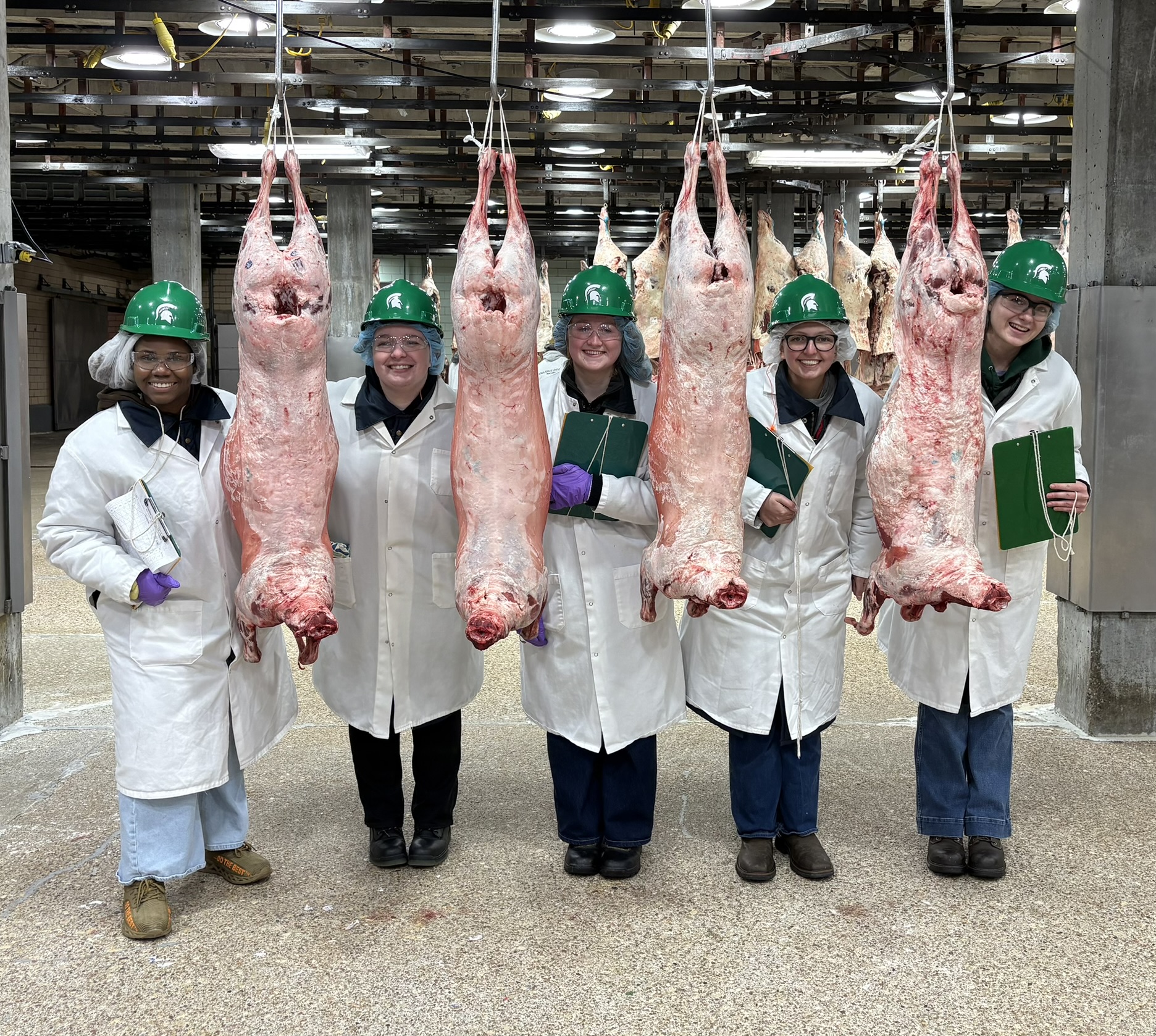 Meat Judging Team - Meat Lab