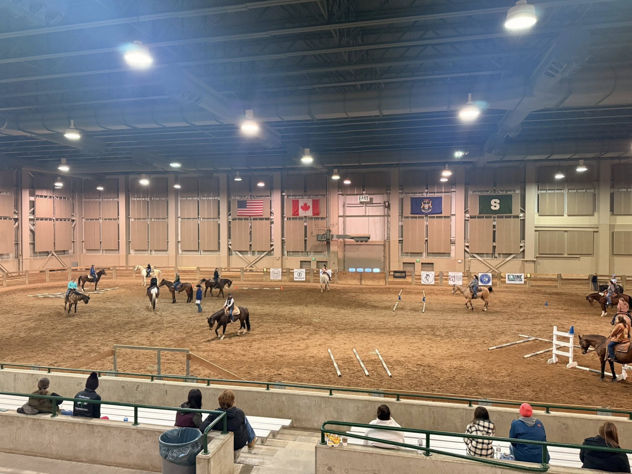 Youth with horses in an arena.