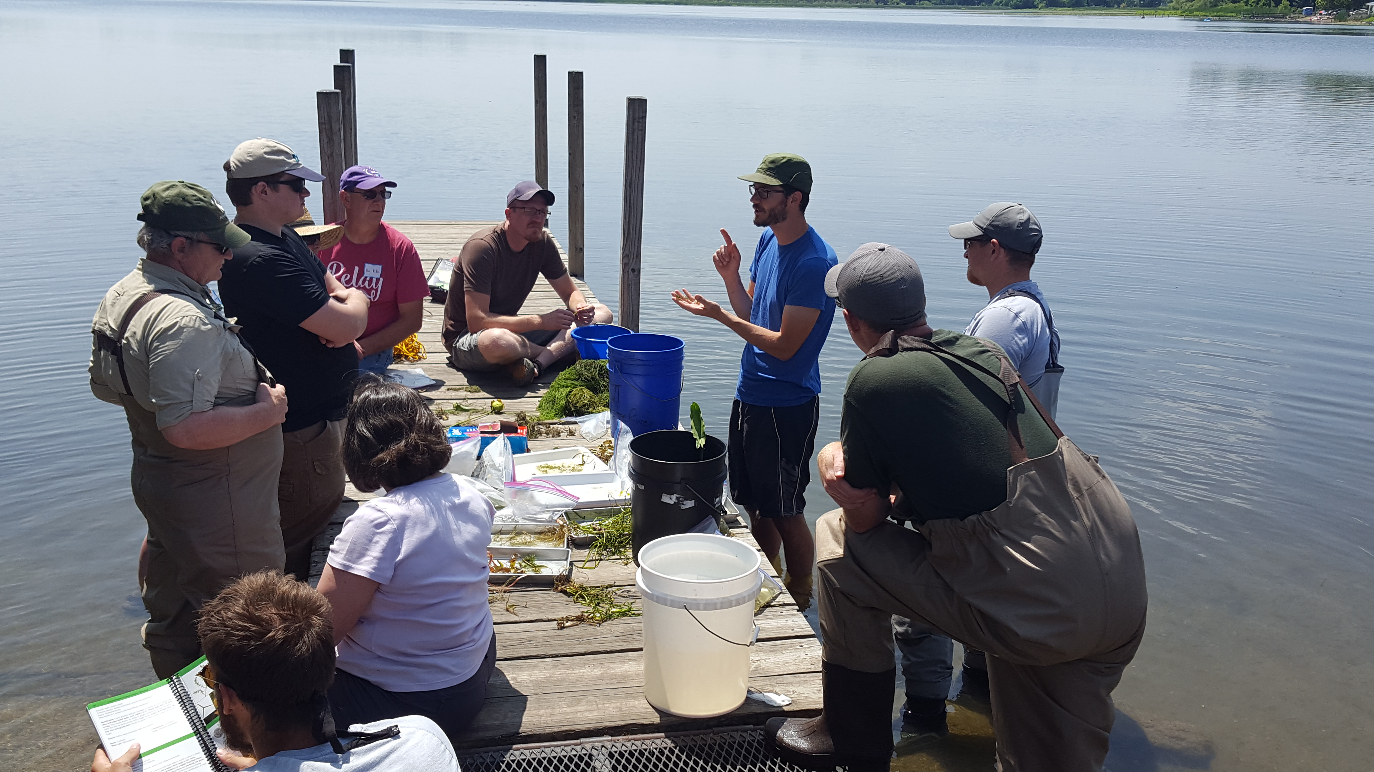 For decorative purposes.