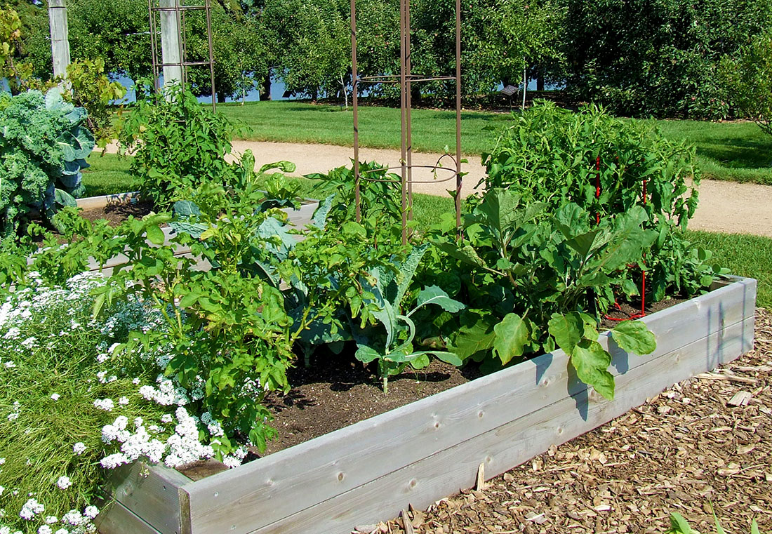 Raised bed