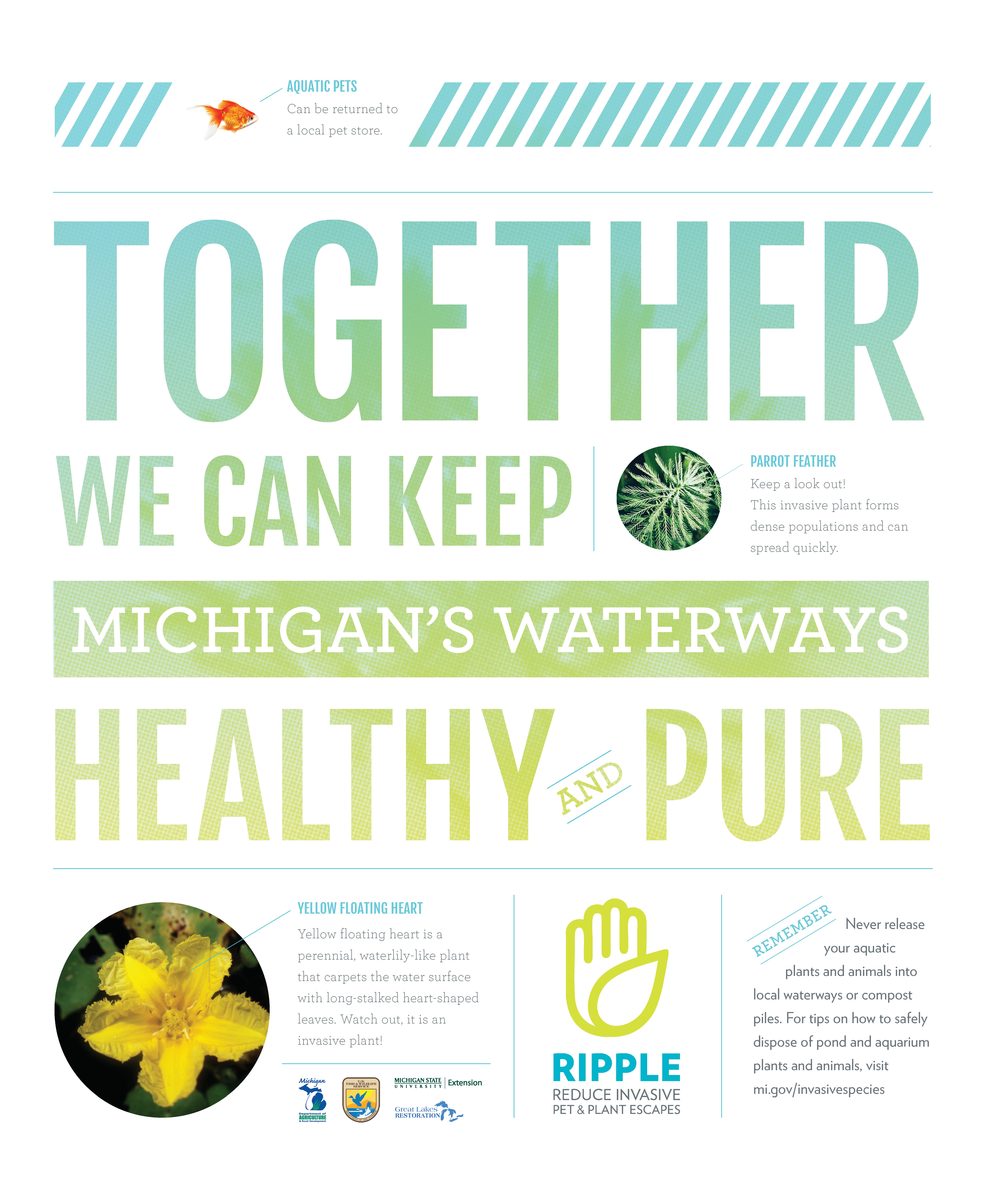 Broad Ripple Posters Get Our Educational Materials - Invasive Species