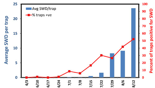 SWD monitoring graph