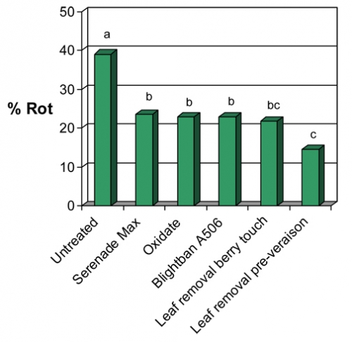 Bunch rot grapes chart Bunch rot grapes chart