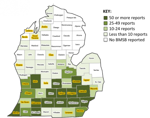 Map of where BMSB have been reported.