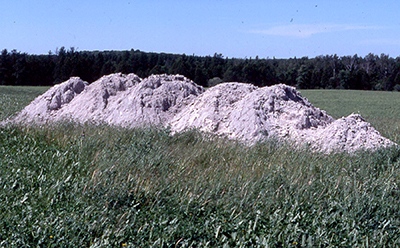 Large pile of wood ash