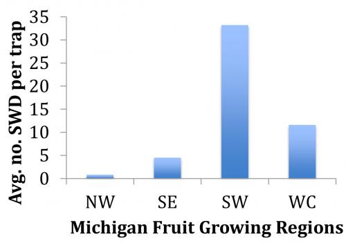 SWD graph