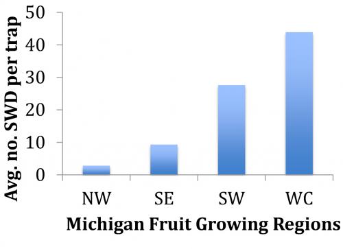 SWD by region