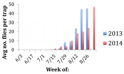 SWD graph