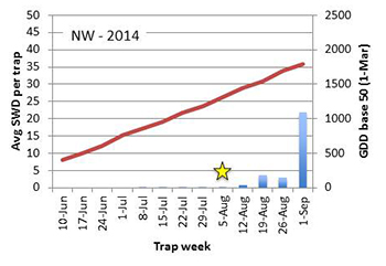 SWD trap data