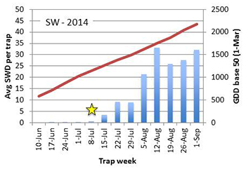 SWD trap data