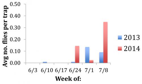 SWD report graph